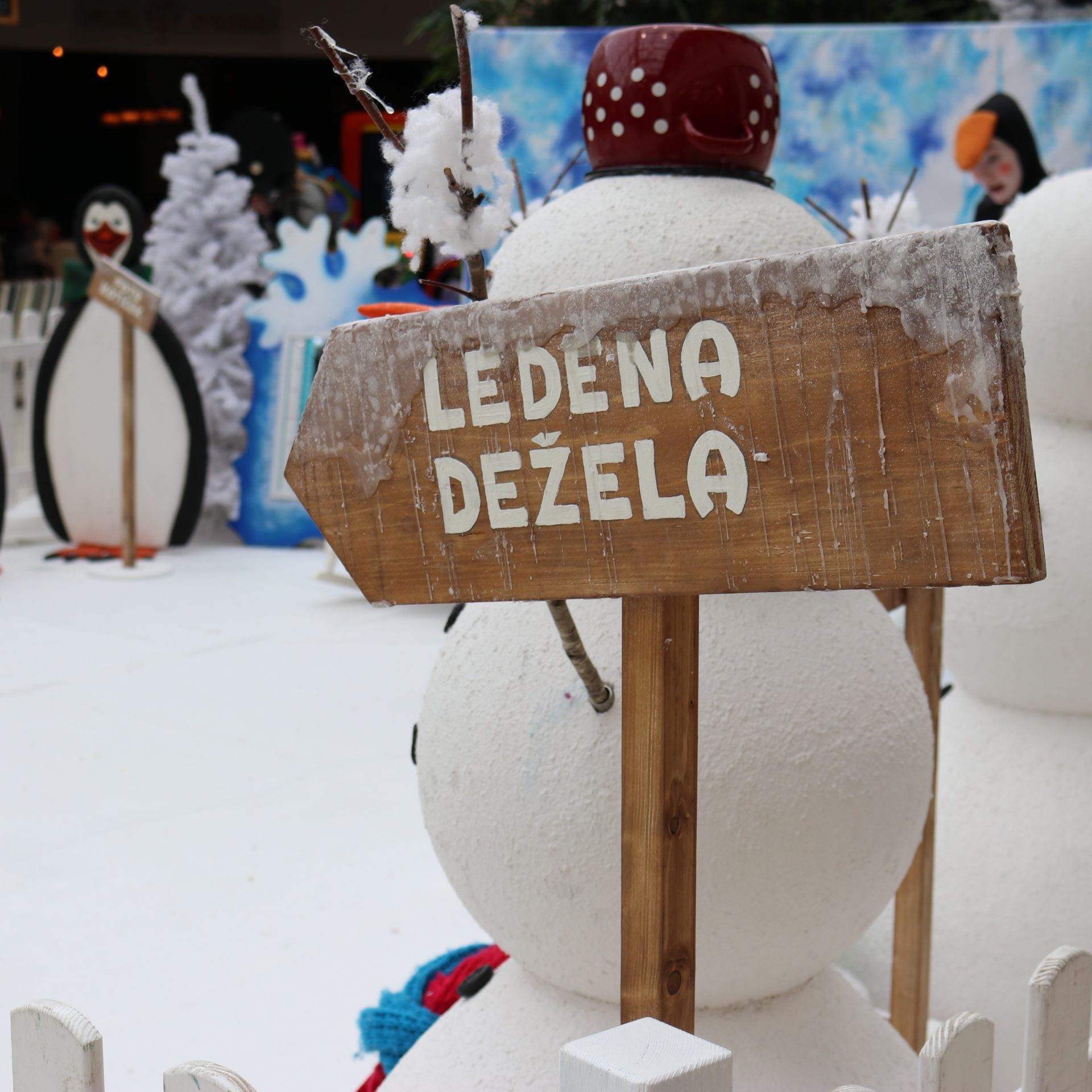 Ledena dežela - slika 2
