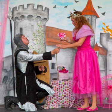 Princesa Zala in vitez Rok Princesa Zala in vitez Rok